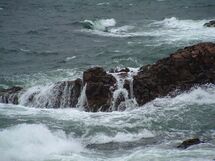 Waves and cliffs. Photo.