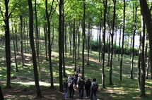 People walking in the forest. Photo.