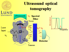 The principle of the Ultrasound optical tomography technique (see text).