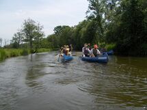 People paddling in canoes. Photo. 