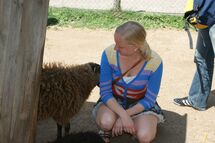 Woman next to a sheep. Photo.